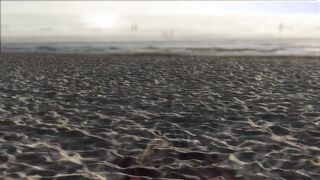 A beach picnic ended with an anal creampie.