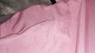 Tight Brunette Gets Fucked – Cum Inside of Her Tight Pussy