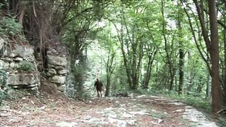 Naughty teen gets fucked by a mature guide in the woods