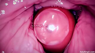 Camera in Vagina, Cervix POV, Tiny Cucked by Giant ‘Couple’, Cum in Condom and Creampie - Full Clip